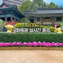 스님 조형물 | 서울사찰 조계사 2025 국화축제 방문후기