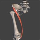 엑스(x)휘트니스 이미지