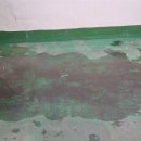 밀양유치원 이미지