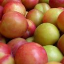 선비골농장 이미지