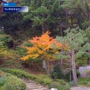 종명목장 | 평창 여행 오대산 상원사 동종(국내에서 가장오래된 종)