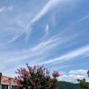 [행복한학교]아로마 컬러테라피 이미지