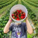 적음농장 이미지