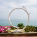 봄봄수산 이미지