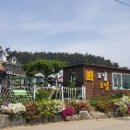 도담도담애견펜션 이미지