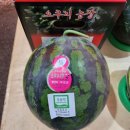 알뜰청년단