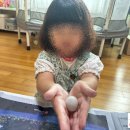 제이케이크아트 Daum카페