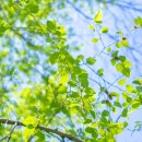 파도파도 이미지