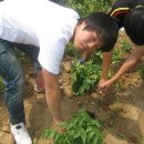 신태인고등학교 이미지