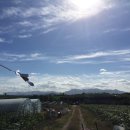 벼리농장 이미지