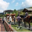 장수목장 이미지