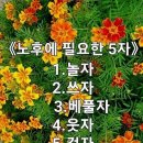 시니어건강체조 이미지