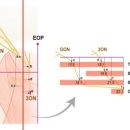 제삼한의원 이미지