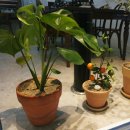 (원데이) 나를 표현하는 향수 이미지