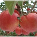 번성농장 이미지