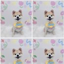 하늘펫살롱 이미지