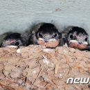 새천년종묘농약사 이미지