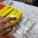 현지약국 | H24. 발리 여행 중 증상별 현지 약국 약 추천 + 실제 구매 후기