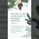 오늘의 '신앙 명언'(285강) 블레이즈 파스칼(Blaise Pascal) 이미지