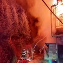 무릉도원면-22 이미지