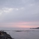 와사비 호테루 이미지