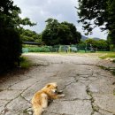 본가냉면 - 양주시 북한산로 942-5 | 일산냉면맛집 본가냉면 가족 외식으로 다녀온 내돈내산 솔직 후기