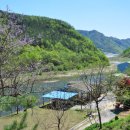 오동나무 발전소 이미지