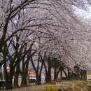 한풍루로 이미지