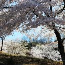 (의료법인)필의료재단 이미지