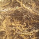 종근목장 이미지