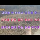 거창부동산공인중개사무소 이미지