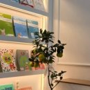 용죽초등학교 이미지