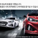 소나타 이미지