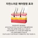 헤어팡팡 이미지