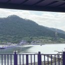 섬 왕새우축제 | &lt;신안군 퍼플섬&gt; 보라보라마을/ 입장료/ 퍼플섬 드레스코드/ 왕새우축제 후기