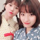 모찌누나