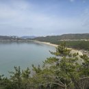 관매도(관호) 이미지