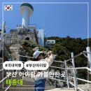 태종에어컨 | 부산 아이랑 가볼만한곳 태종대 || 다누비열차 가격 주차정보