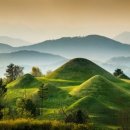 우포따오기 사진전 이미지