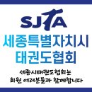 용인대 SK 태권도 이미지