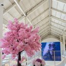 대명항1로 92번길 이미지