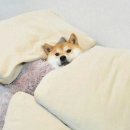 데파인유 이미지