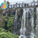 코메타엘엑스 | 프라다 나일론버킷햇, 프라다 브러쉬드토트백 제주 신세계아울렛 구매후기