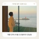 양남힐링펜션 | 아이랑 경주 바다뷰 인피니티풀 숙소 오션클리프 양남점
