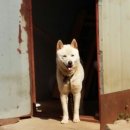 시골나들이 이미지