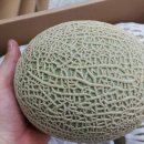 익산시농업기술센터 이미지