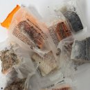(주)동영식품 | [강서구청pt] 생선 단백질 섭취해야 하는 이유