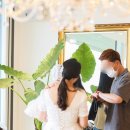 마레파티하우스 이미지