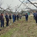 청태농장 이미지