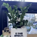 꿈몽글순두부 이미지